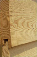 Siberian Larch flooring